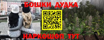 бошки Будённовск